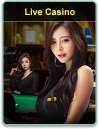 Dealer ao vivo conduzindo partida de roleta no 166BRA Cassino.